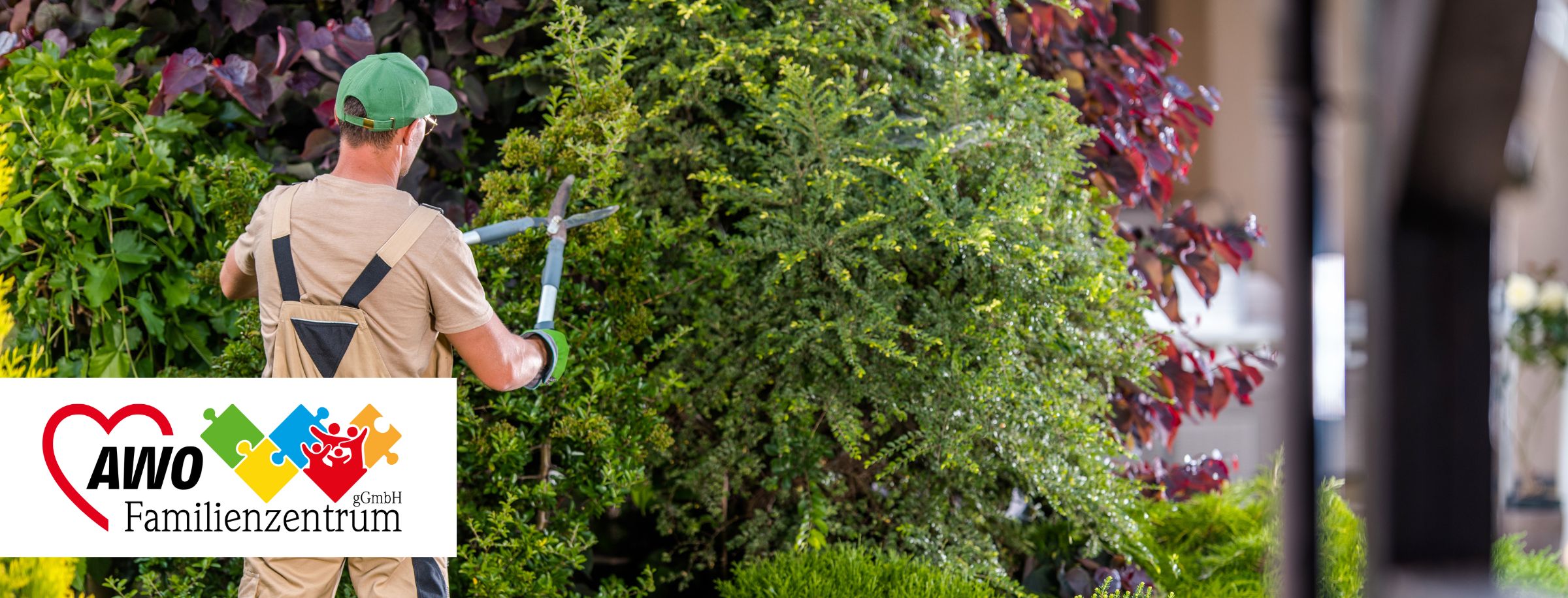 Mann schneidet Hecke - Hausmeister
